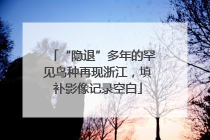 “隐退”多年的罕见鸟种再现浙江，填补影像记录空白