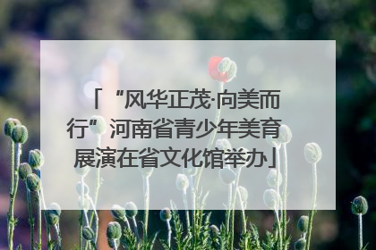 “风华正茂·向美而行”河南省青少年美育展演在省文化馆举办