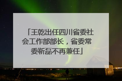 王乾出任四川省委社会工作部部长，省委常委靳磊不再兼任