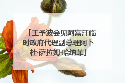 王予波会见阿富汗临时政府代理副总理阿卜杜·萨拉姆·哈纳菲