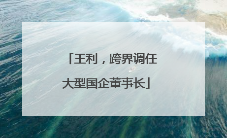 王利，跨界调任大型国企董事长