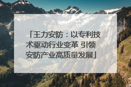 王力安防：以专利技术驱动行业变革 引领安防产业高质量发展