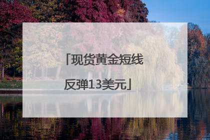 现货黄金短线反弹13美元