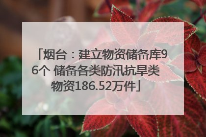 烟台：建立物资储备库96个 储备各类防汛抗旱类物资186.52万件