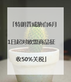 特朗普威胁自6月1日起对欧盟商品征收50%关税