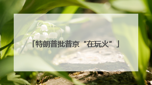 特朗普批普京“在玩火”