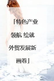 特色产业领航 绘就外贸发展新画卷