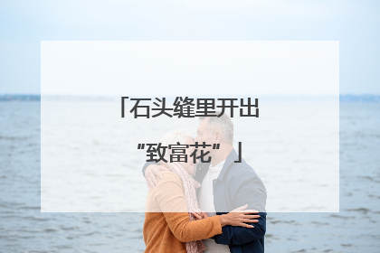石头缝里开出“致富花”