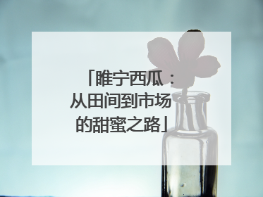 睢宁西瓜：从田间到市场的甜蜜之路