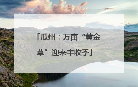 瓜州：万亩“黄金草”迎来丰收季