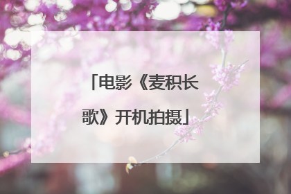 电影《麦积长歌》开机拍摄