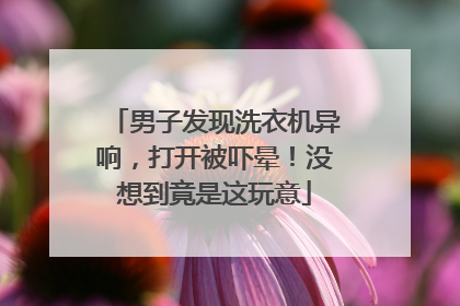 男子发现洗衣机异响，打开被吓晕！没想到竟是这玩意