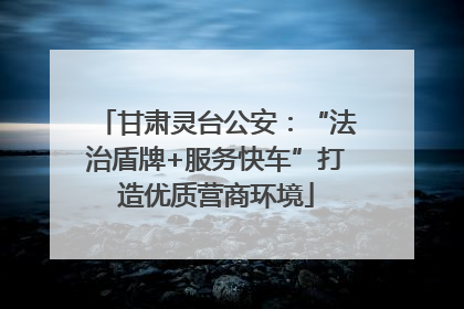 甘肃灵台公安：“法治盾牌+服务快车”打造优质营商环境