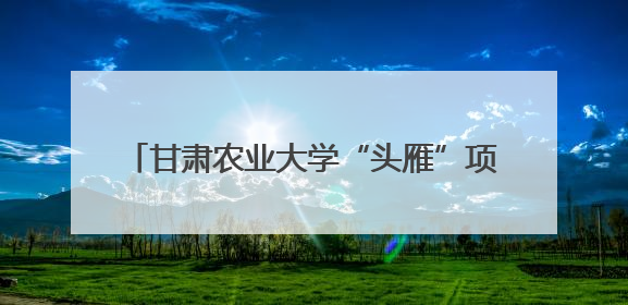 甘肃农业大学“头雁”项目现代畜牧业高质量发展培训班走进榆林榆阳区