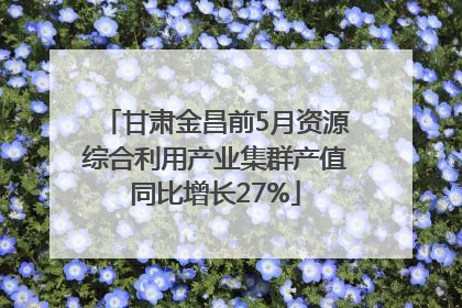 甘肃金昌前5月资源综合利用产业集群产值同比增长27%