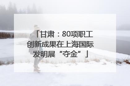 甘肃：80项职工创新成果在上海国际发明展“夺金”