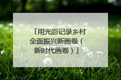 用光影记录乡村全面振兴新画卷（新时代画卷）