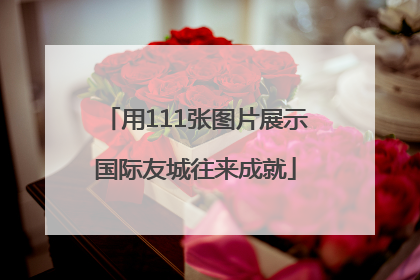 用111张图片展示国际友城往来成就