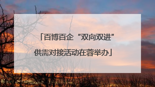 百博百企“双向双进”供需对接活动在蓉举办