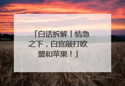 白话拆解丨情急之下，白宫敲打欧盟和苹果！