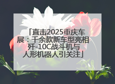 直击2025重庆车展：千余款新车型亮相 歼-10C战斗机与人形机器人引关注