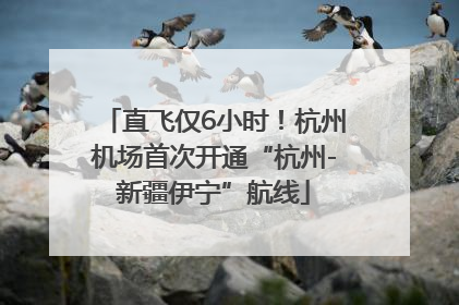 直飞仅6小时！杭州机场首次开通“杭州-新疆伊宁”航线