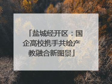 盐城经开区：国企高校携手共绘产教融合新图景