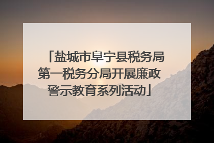盐城市阜宁县税务局第一税务分局开展廉政警示教育系列活动