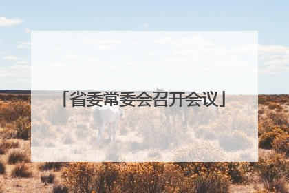 省委常委会召开会议