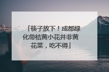 筷子放下！成都绿化带桔黄小花并非黄花菜，吃不得