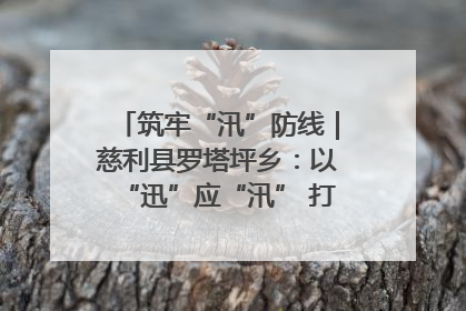 筑牢“汛”防线｜慈利县罗塔坪乡：以“迅”应“汛” 打赢暴雨防御战