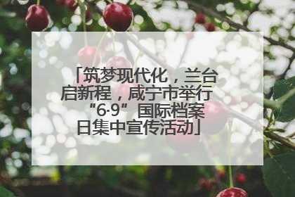 筑梦现代化，兰台启新程，咸宁市举行“6·9”国际档案日集中宣传活动