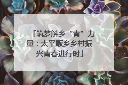 筑梦斛乡“青”力量：太平畈乡乡村振兴青春进行时