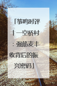 筝鸣时评丨一空桥村：强筋麦丰收背后的振兴密码