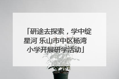 研途去探索，学中绽星河 乐山市中区杨湾小学开展研学活动