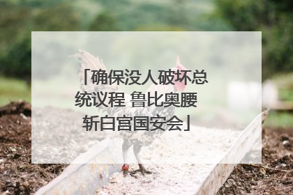确保没人破坏总统议程 鲁比奥腰斩白宫国安会