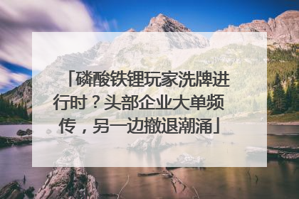 磷酸铁锂玩家洗牌进行时？头部企业大单频传，另一边撤退潮涌