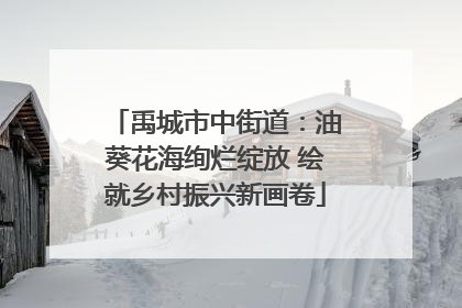 禹城市中街道：油葵花海绚烂绽放 绘就乡村振兴新画卷