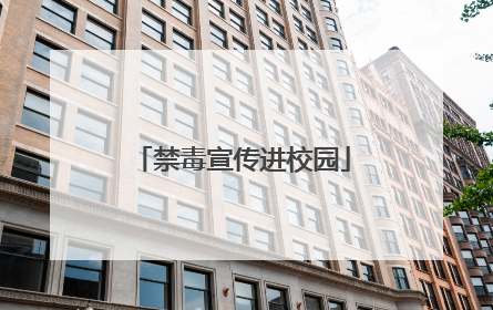 禁毒宣传进校园