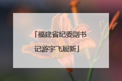 福建省纪委副书记游宇飞履新