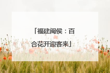 福建闽侯：百合花开迎客来