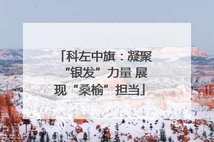 科左中旗：凝聚“银发”力量 展现“桑榆”担当