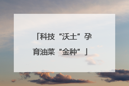 科技“沃土”孕育油菜“金种”