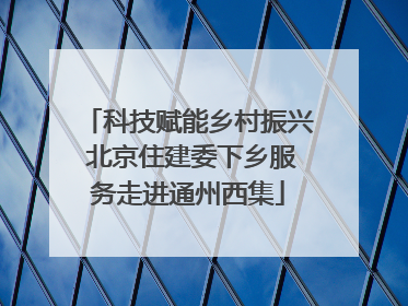 科技赋能乡村振兴 北京住建委下乡服务走进通州西集