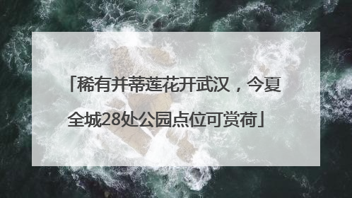 稀有并蒂莲花开武汉，今夏全城28处公园点位可赏荷