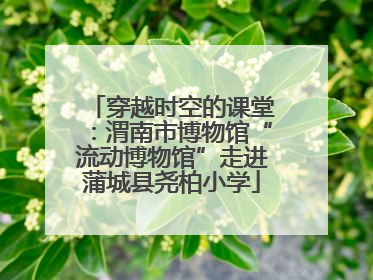 穿越时空的课堂：渭南市博物馆“流动博物馆”走进蒲城县尧柏小学