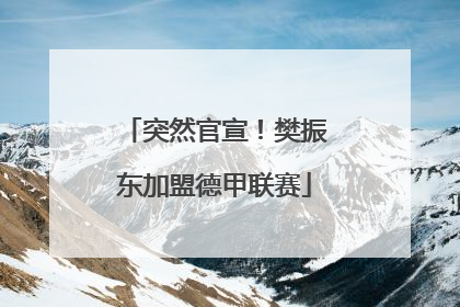 突然官宣！樊振东加盟德甲联赛
