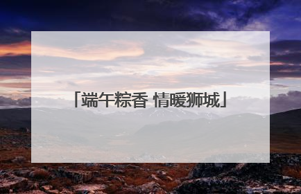 端午粽香 情暖狮城