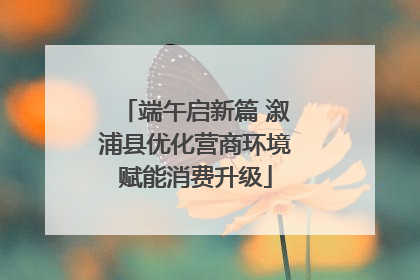 端午启新篇 溆浦县优化营商环境赋能消费升级