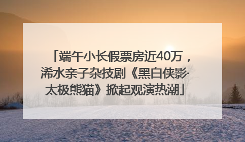 端午小长假票房近40万，浠水亲子杂技剧《黑白侠影·太极熊猫》掀起观演热潮